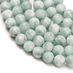 Glass Beads Strands&nbsp;G-L642-B18-10mm