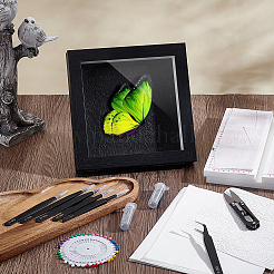 2Bags EVA Production Table for Butterfly Specimen&nbsp;DIY-PH0035-26