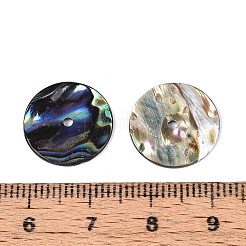 Natural Paua Shell Beads&nbsp;SSHEL-N040-20B