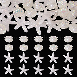 26Pcs 2 Styles UV Plating Ocaen Theme Transparent Resin Cabochons&nbsp;CRES-TA0001-54