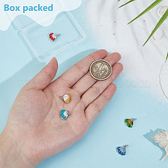 5Pcs 5 Colors Brass Enamel Shell Shape Charms&nbsp;KK-BC0015-42P