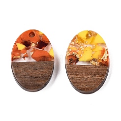 Transparent Resin and Walnut Wood Pendants&nbsp;RESI-T057-04M