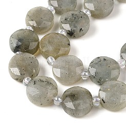 Natural Labradorite Bead Strands&nbsp;G-C116-A10-01