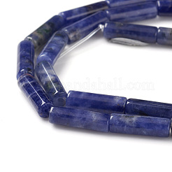 Natural Sodalite Beads Strands&nbsp;X-G-F247-30