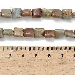 Natural Aqua Terra Jasper Beads Strands&nbsp;G-Z110-H01-8x8mm