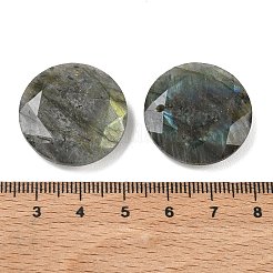 Natural Labradorite Pendants&nbsp;G-K381-29