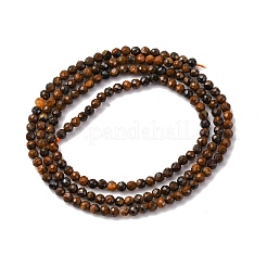 Natural Tiger Iron Beads Strands&nbsp;G-RM250104-B5