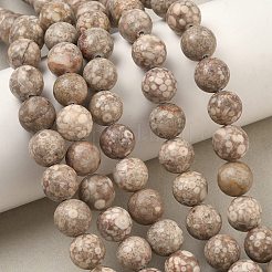 Natural Maifanite/Maifan Stone Beads Strands&nbsp;G-R345-10mm-40-1