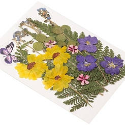 Pressed Dried Flowers&nbsp;DIY-YWC0001-97