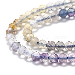 Natural Fluorite Beads Strands&nbsp;LS-G-H266-31B