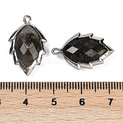 Natural Labradorite Faceted Leaf Pendants&nbsp;G-I375-04P-08