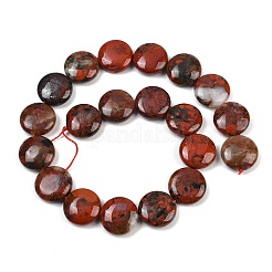 Natural Brecciated Jasper Beads Strands&nbsp;G-C220-D02-20mm