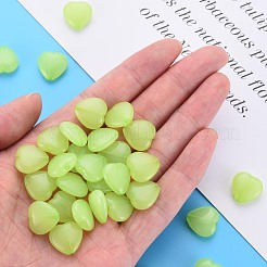 Transparent Acrylic Beads&nbsp;TACR-S154-54E-06