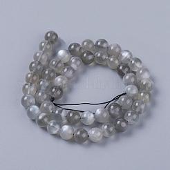 Natural Grey Moonstone Beads Strands&nbsp;G-F632-29-02