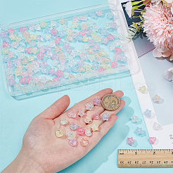 160Pcs 16 Styles Transparent Crackle Acrylic Beads&nbsp;OACR-PH0004-57