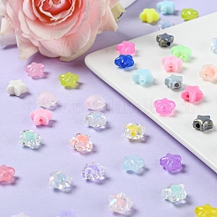 300Pcs 6 Style Transparent & Opaque & Spray Painted Acrylic Beads&nbsp;TACR-YW0001-46