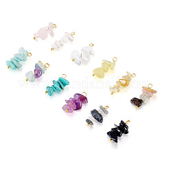 24Pcs 12 Styles Mixed Gemstone Chip Pendants&nbsp;PALLOY-TAC0166