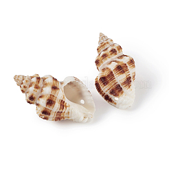Spiral Shell Pendants&nbsp;SSHEL-TA0001-02