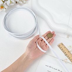 PE Ribbon&nbsp;OCOR-WH0070-269B
