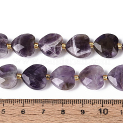Natural Amethyst Beads Strands&nbsp;G-P592-B10-01
