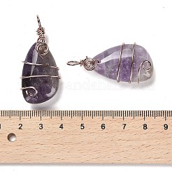 Natural Amethyst Pendants&nbsp;G-F763-03RG-06