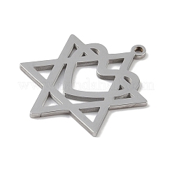 Non-Tarnish 304 Stainless Steel Pendants&nbsp;STAS-B062-19P