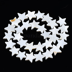 Natural Freshwater Shell Beads Strands&nbsp;X-SHEL-S278-01D-01