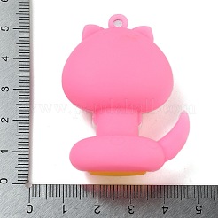 PVC Pendants&nbsp;FIND-R001-01A