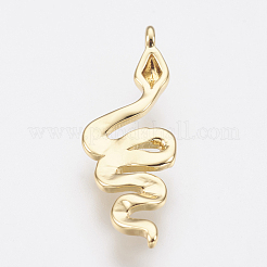 Brass Charms&nbsp;ZIRC-F083-019G-RS
