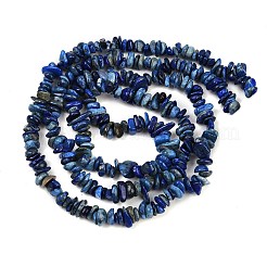 Natural Lapis Lazuli Beads Strands&nbsp;G-Q060-C04