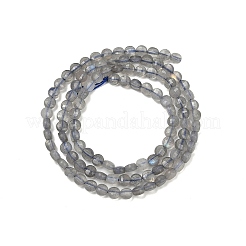 Natural Labradorite Beads Strands&nbsp;G-R462-008-01