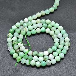 Natural Chrysoprase Beads Strands&nbsp;G-K305-13-B