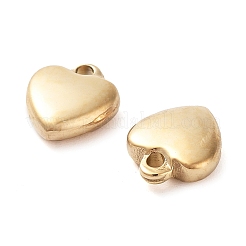 304 Stainless Steel Charms&nbsp;STAS-L022-377G