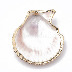 Sea Shell Pendants&nbsp;SSHEL-S258-01