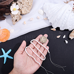 Natural Pearl Beads Strands&nbsp;PEAR-WH0012-01