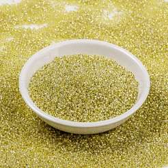 MIYUKI Round Rocailles Beads&nbsp;SEED-JP0010-RR0554
