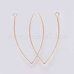 Ion Plating(IP) 304 Stainless Steel Earring Hooks&nbsp;STAS-K184-05-01RG