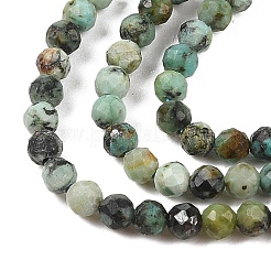 Natural African Turquoise(Jasper) Beads Strands&nbsp;X-G-P472-01