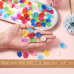 500Pcs 10 Colors Transparent Frosted Acrylic Pendants&nbsp;MACR-YS0001-03