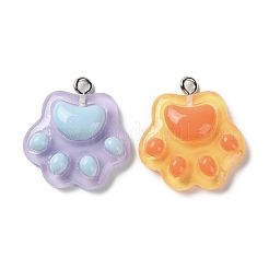 Cartoon Translucent Resin Pendants&nbsp;X-RESI-D071-01