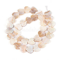 Electroplated Natural Freshwater Shell Carved Beads Strands&nbsp;SHEL-T020-14