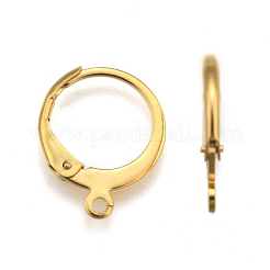 304 Stainless Steel Leverback Earring Findings&nbsp;X-STAS-P210-30G