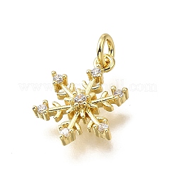 Brass Micro Pave Clear Cubic Zirconia Charms&nbsp;KK-V011-39A-G
