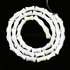 Natural Freshwater Shell Beads Strands&nbsp;SHEL-N026-150