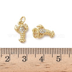 Brass Micro Pave Cubic Zirconia Charms&nbsp;KK-D502-26M-G