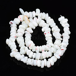 Natural Freshwater Shell Beads Strands&nbsp;SHEL-N003-23
