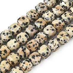 Natural Dalmatian Jasper Beads Strands&nbsp;G-C267-A14