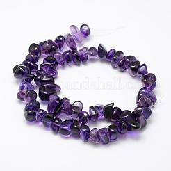 Natural Amethyst Beads Strands&nbsp;G-F521-19
