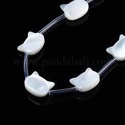 Natural White Shell Beads Strands&nbsp;SSHEL-S278-124A