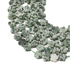 Natural Green Spot Jasper Beads Strands&nbsp;G-B138-C24-01